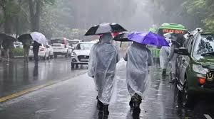 Rainfall2