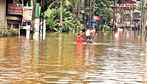 Newindianexpress 2026 08 01 mn2aaqxe Over 500 rescued (1)