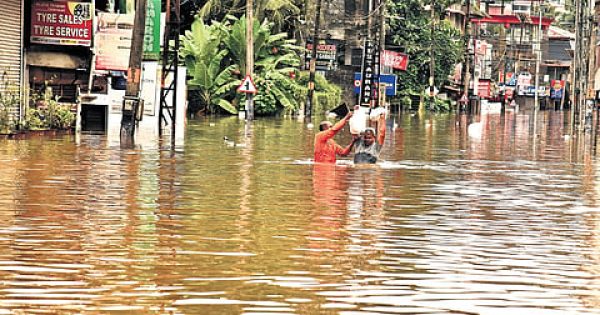 Newindianexpress 2026 08 01 mn2aaqxe Over 500 rescued (1)