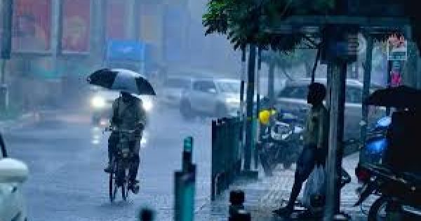 Rainfall 1